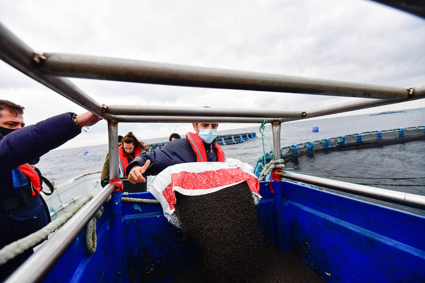 Fotos: Un sistema inteligente pionero reduce el impacto ambiental y el coste de la acuicultura