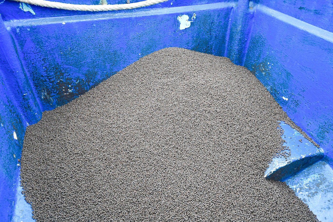 Fotos: Un sistema inteligente pionero reduce el impacto ambiental y el coste de la acuicultura