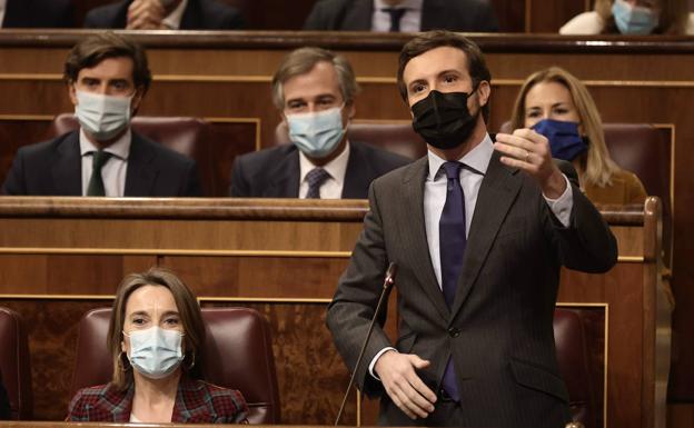 El líder del PP, Pablo Casado, en el Congreso. 