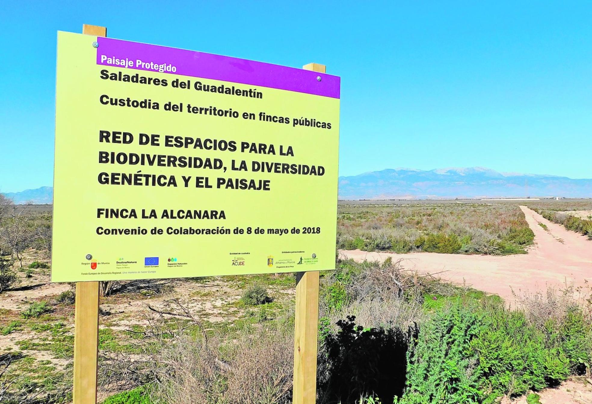 Finca adscrita a la fórmula de custodia del territorio en losSaladares del Guadalentín,entre Alhama de Murcia y Totana. 