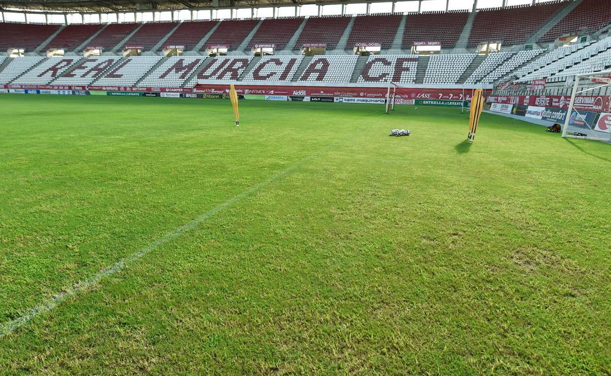 Césped del estadio Enrique Roca, en una imagen de archivo.