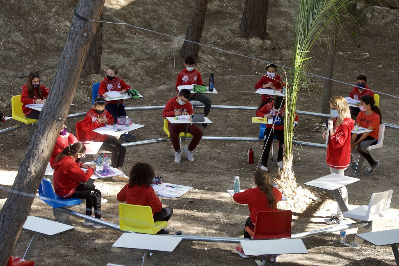 29/01/2021. Las ciencias naturales, mejor con ‘Aire Limpio’. Un centenar de colegios de la Comunidad alejan el riesgo infección por Covid-19 y a la vez acercan a sus alumnos al entorno natural gracias a una iniciativa de La Arrixaca y la Consejería de Educación que permite que una parte de las clases se impartan en los patios. Un lujo en aquellos días soleados del mes de enero. | NACHO GARCÍA