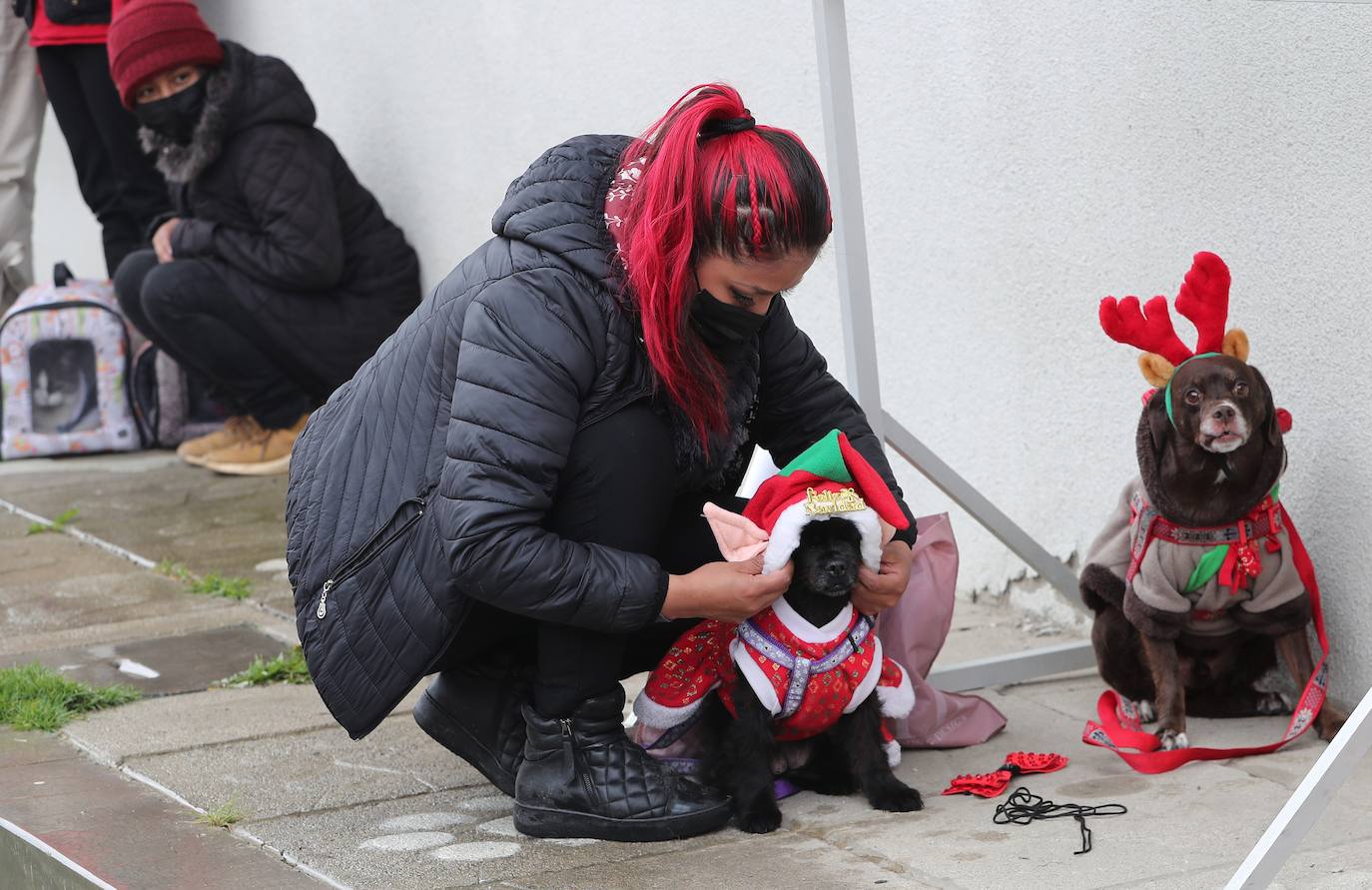 Fotos: Disfraces y vacunas por Navidad