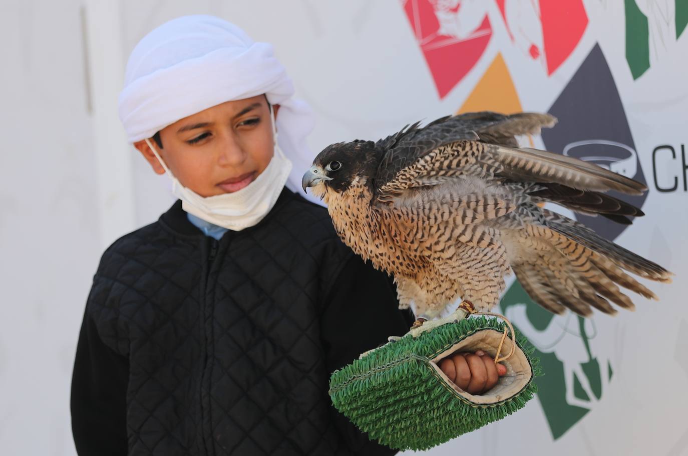 Fotos: Campeonato de Cetrería en Dubái