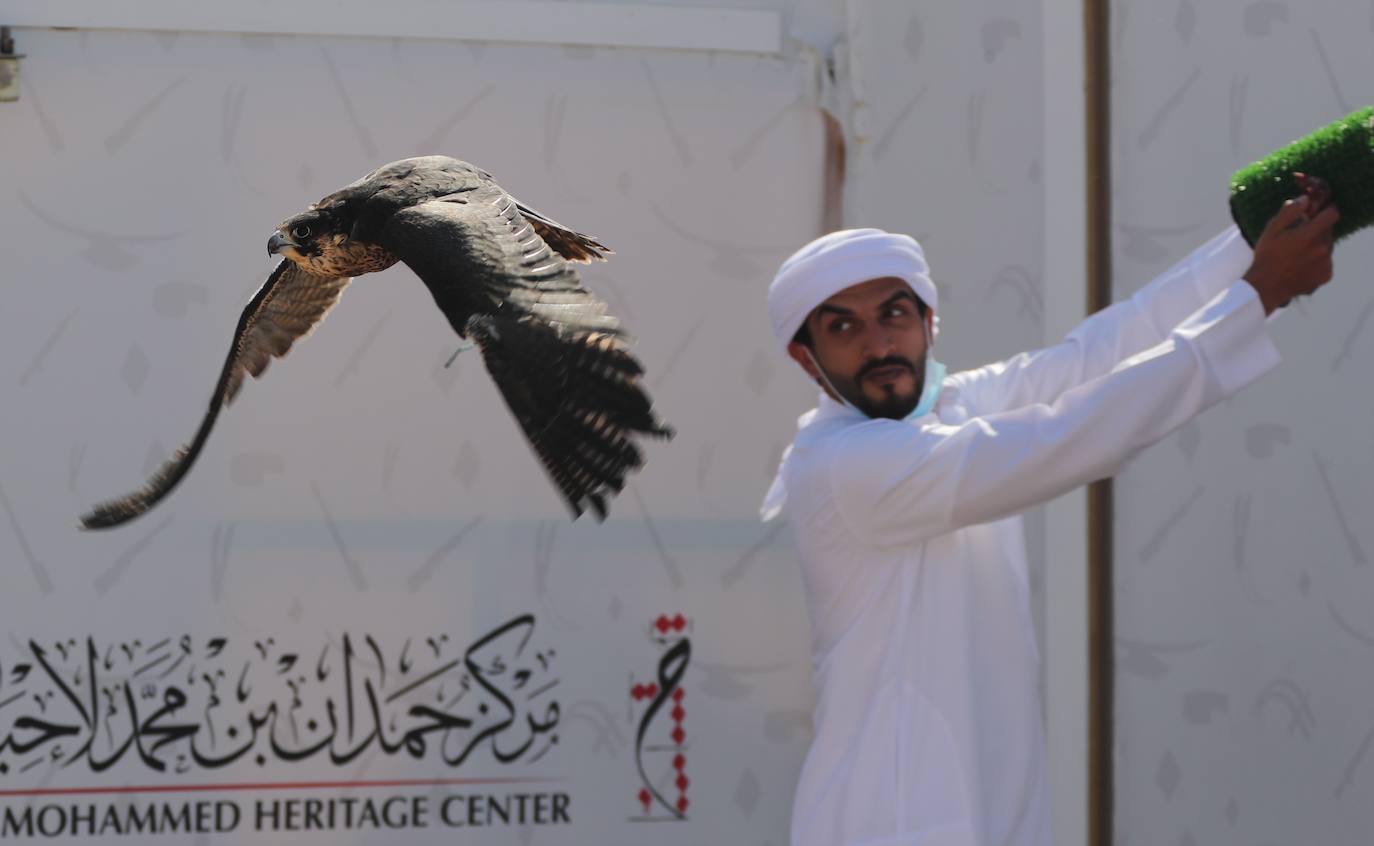 Fotos: Campeonato de Cetrería en Dubái