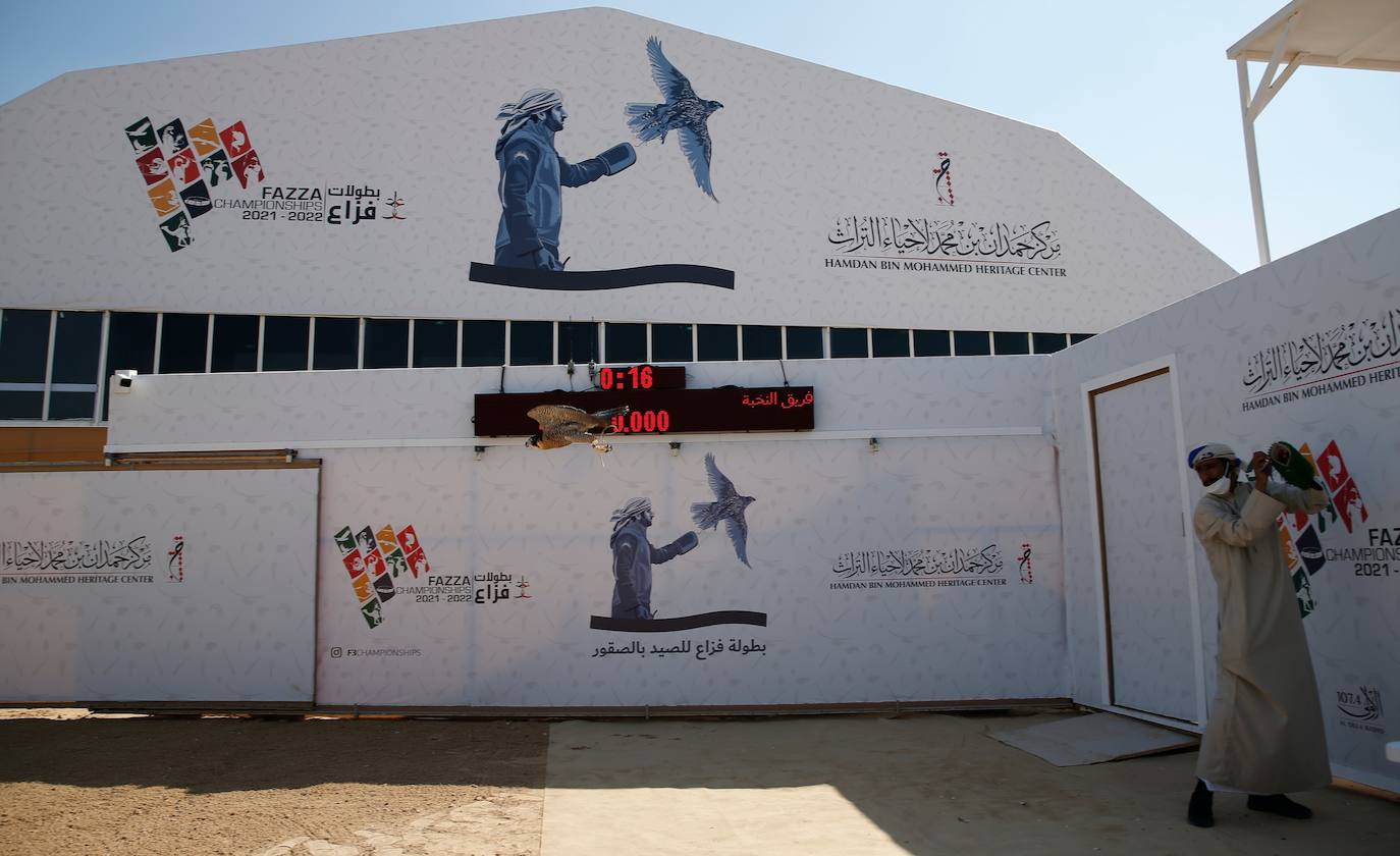 Fotos: Campeonato de Cetrería en Dubái