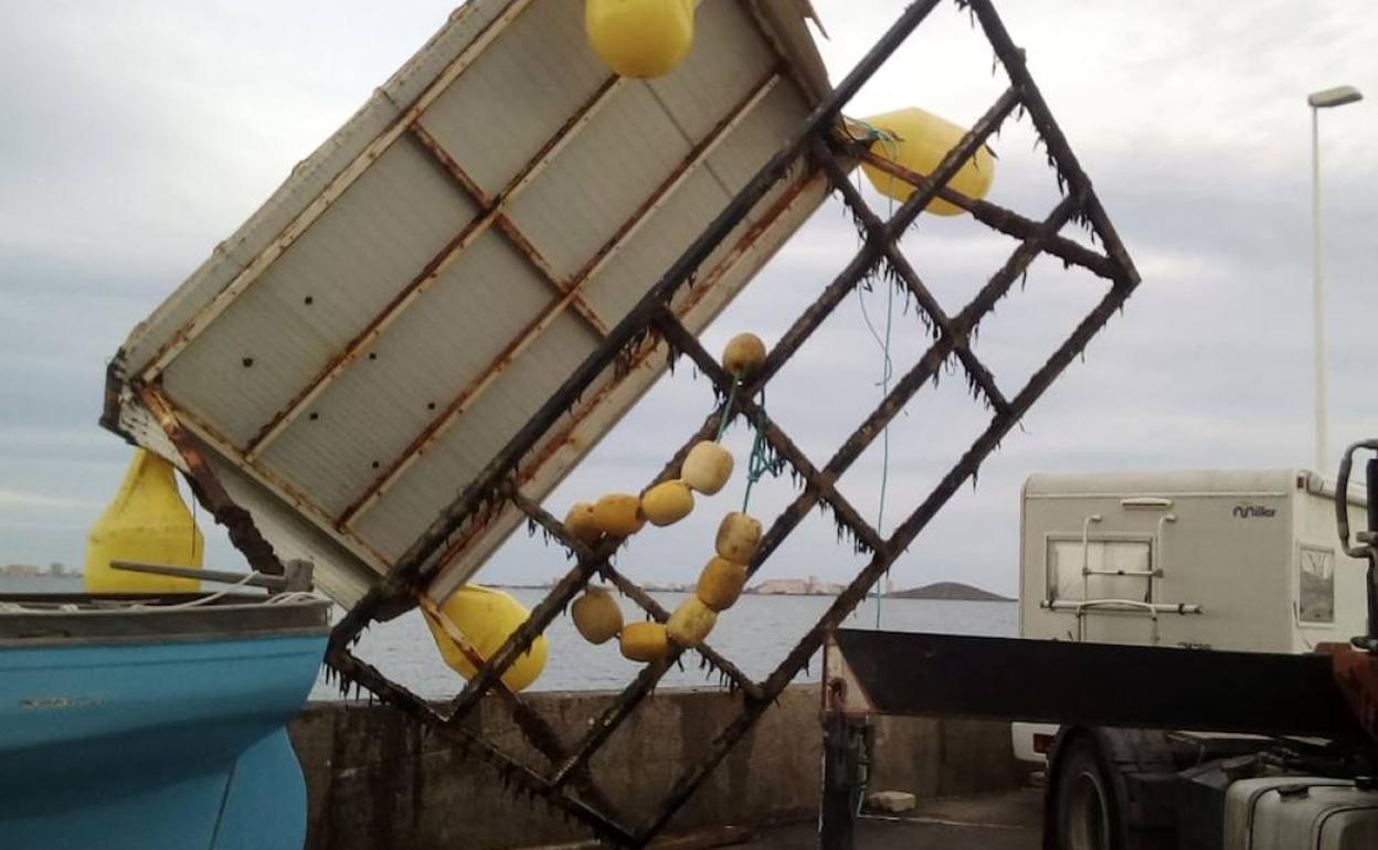 Retirada de residuos de los fondos marinos del Mar Menor.