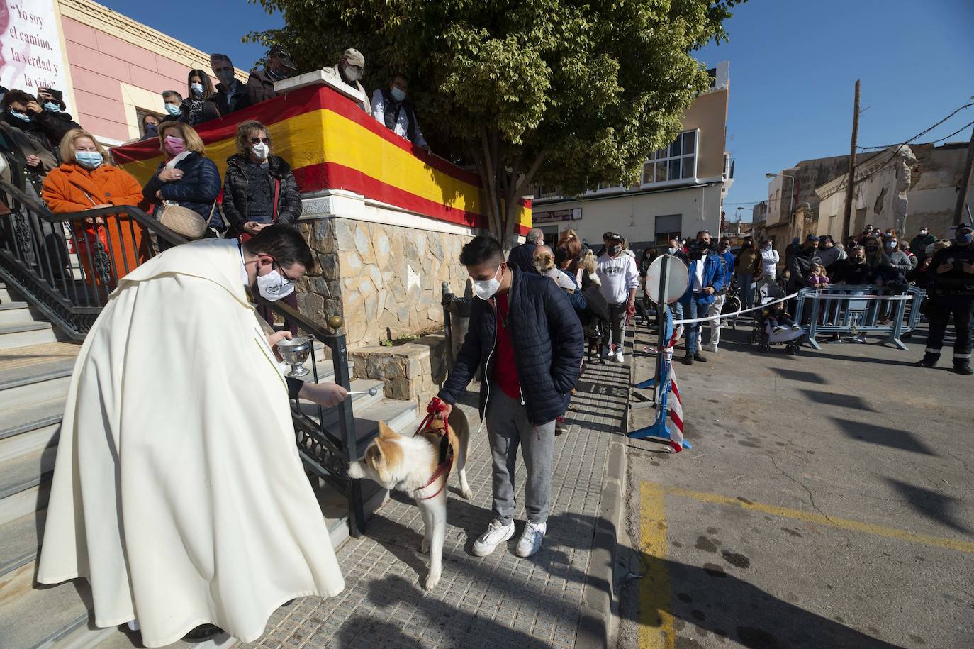 Fotos: San Antón recupera las bendiciones en Cartagena