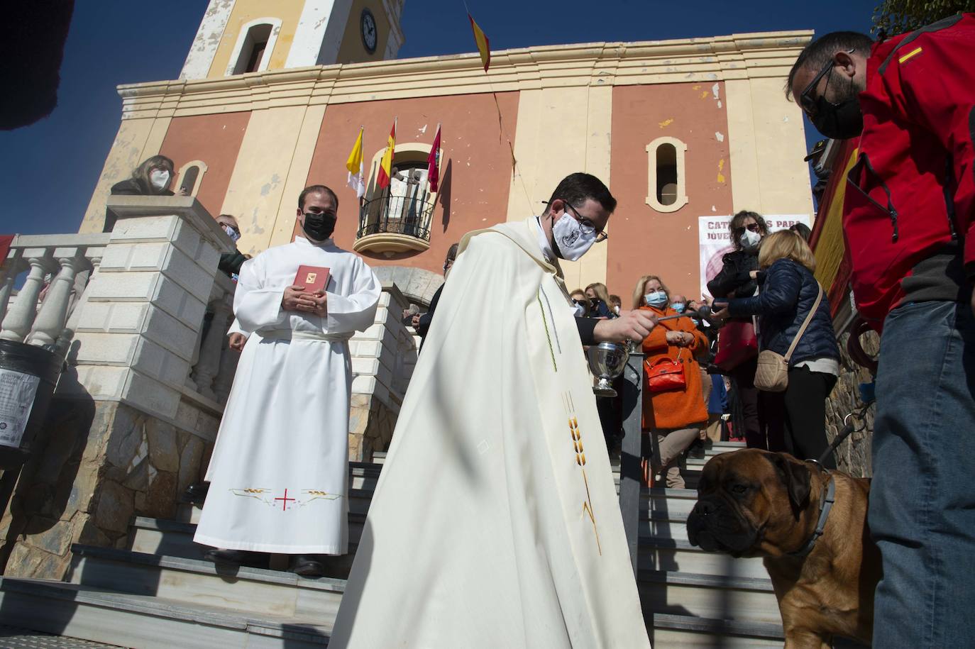 Fotos: San Antón recupera las bendiciones en Cartagena