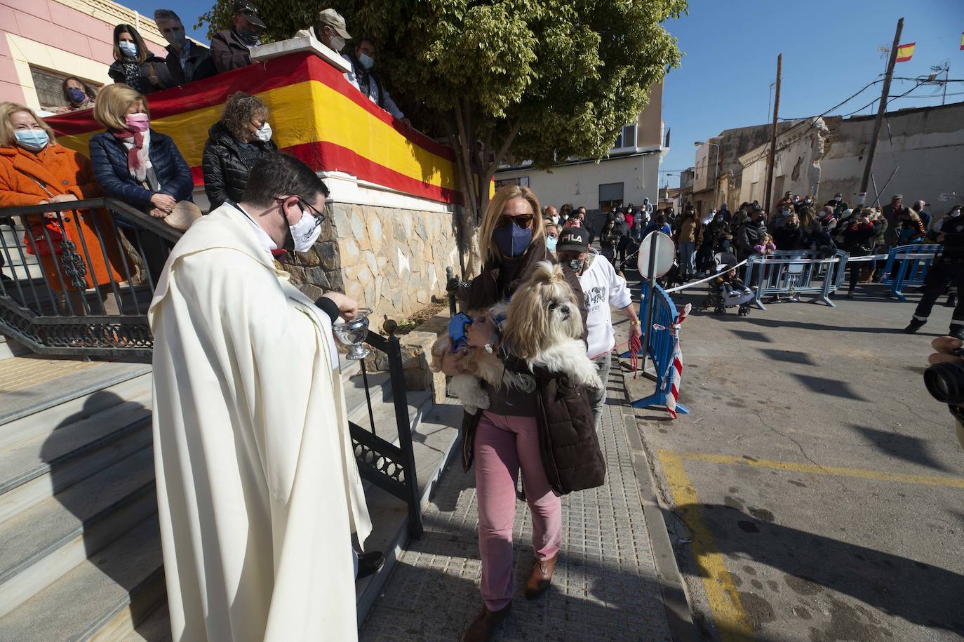 Fotos: San Antón recupera las bendiciones en Cartagena