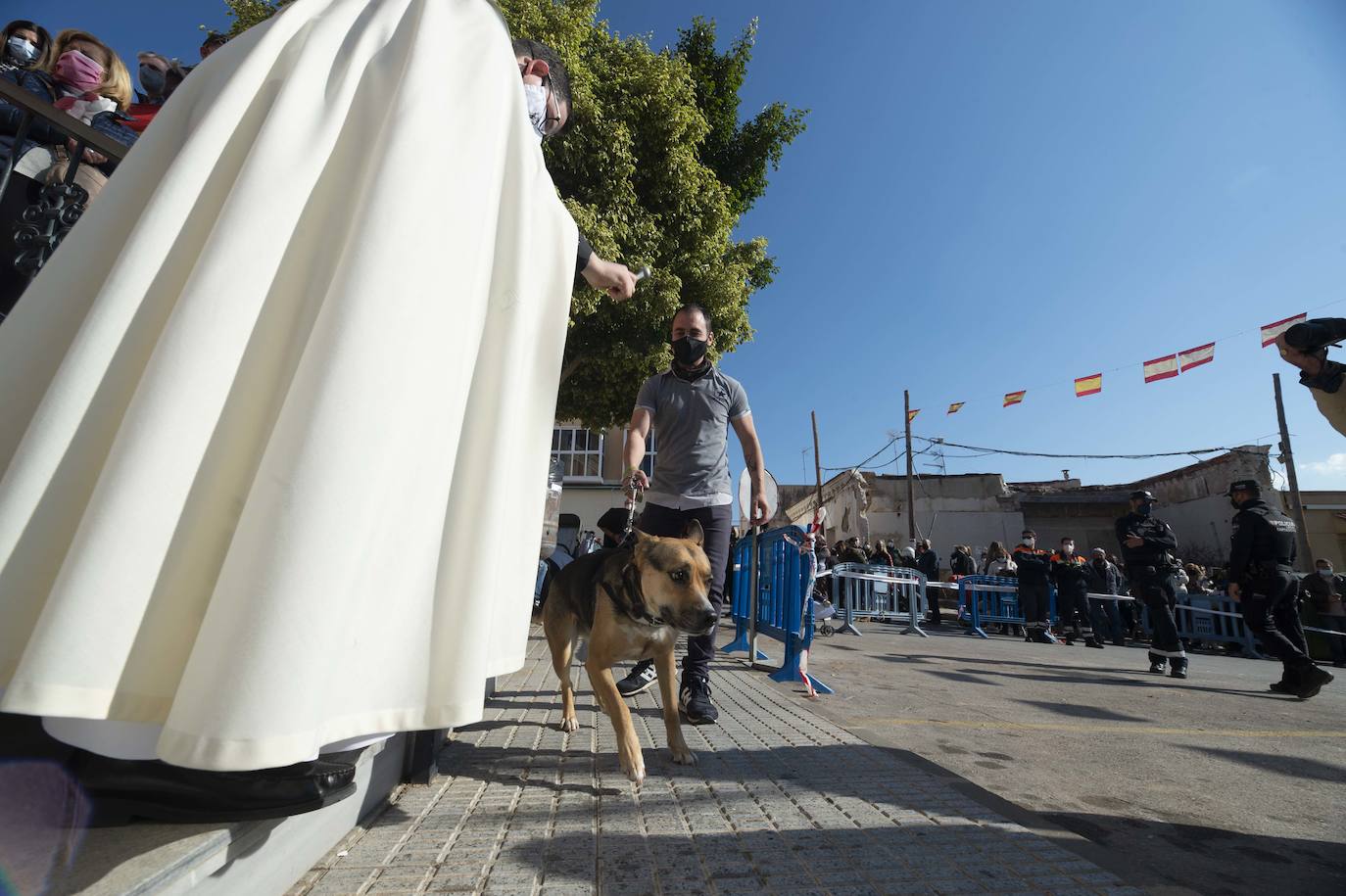 Fotos: San Antón recupera las bendiciones en Cartagena