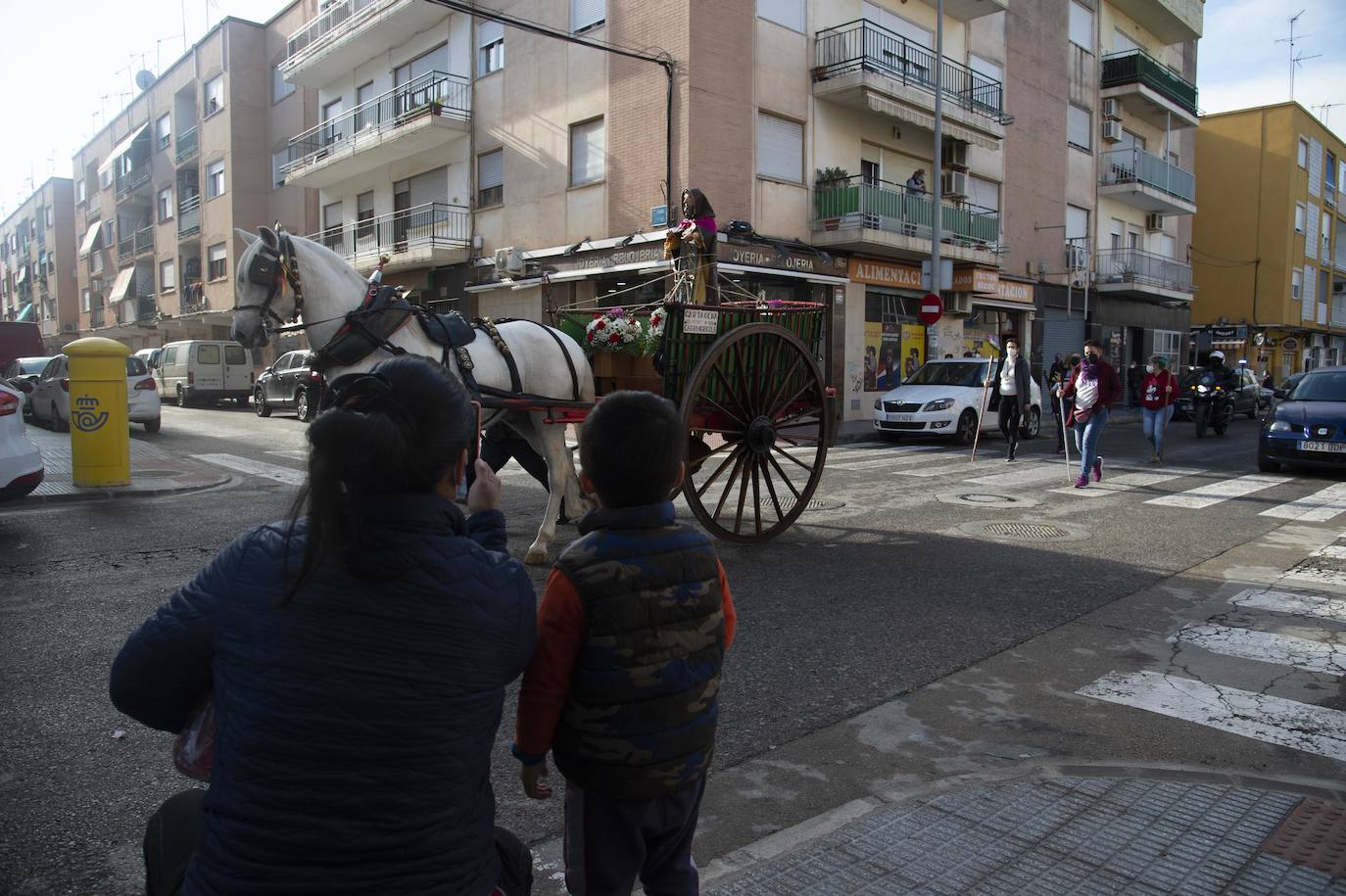 Fotos: San Antón recupera las bendiciones en Cartagena