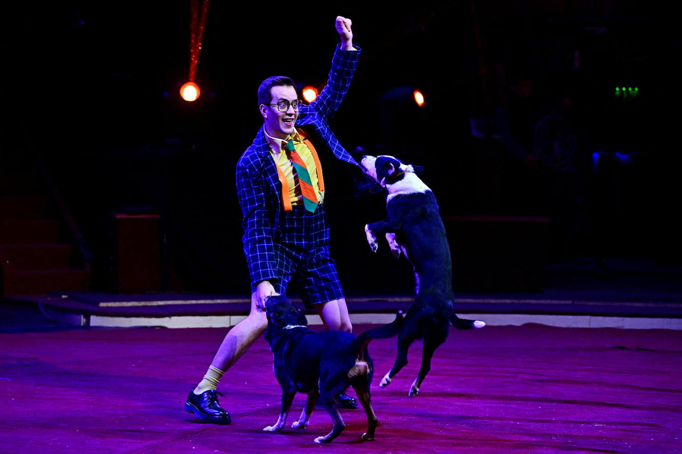 Fotos: Festival de Circo de Budapest