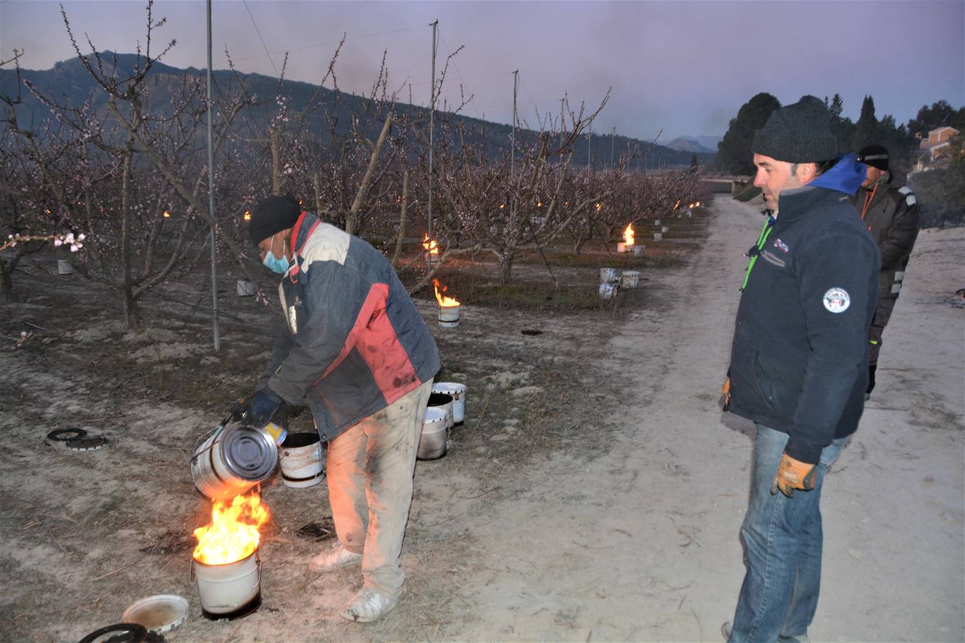 Fotos: Fuego contra las heladas en Cieza