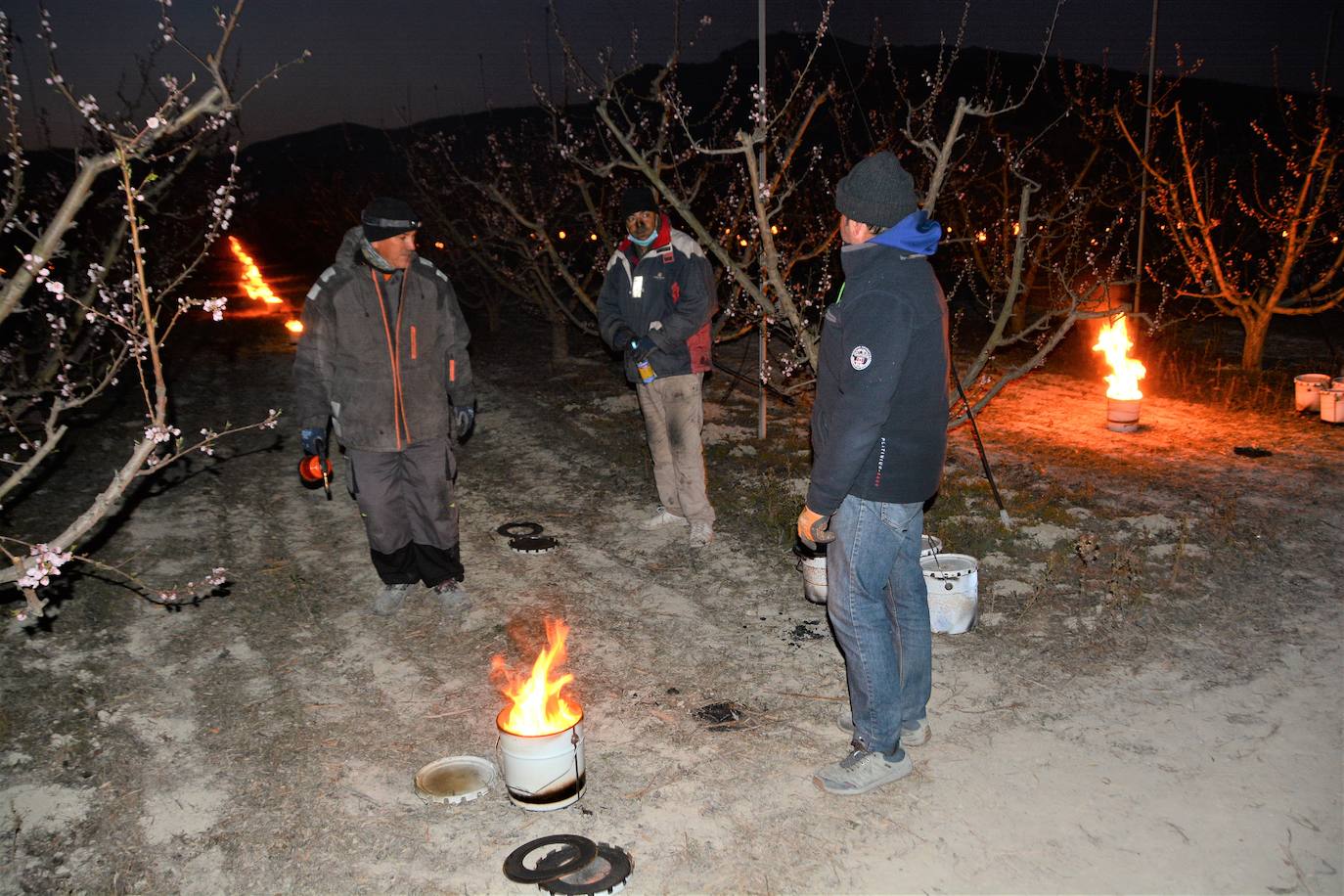 Fotos: Fuego contra las heladas en Cieza