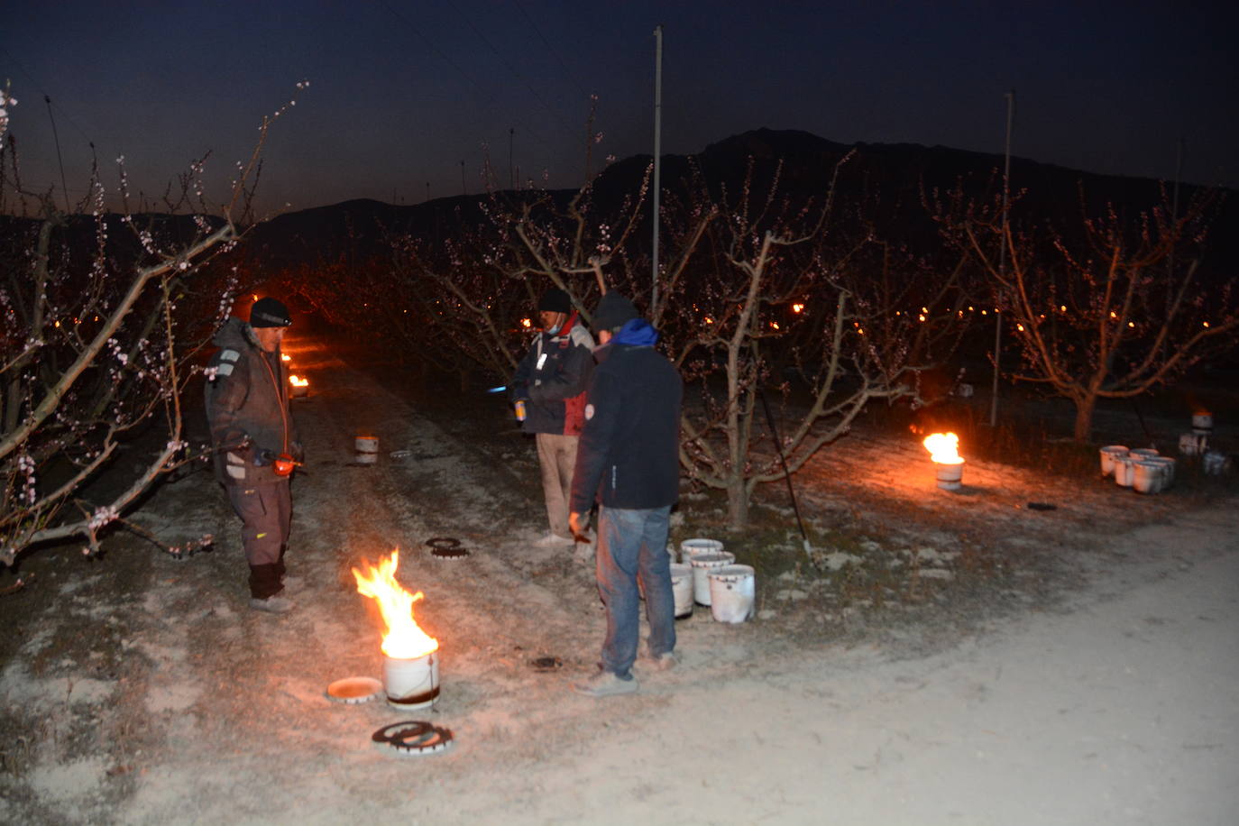 Fotos: Fuego contra las heladas en Cieza