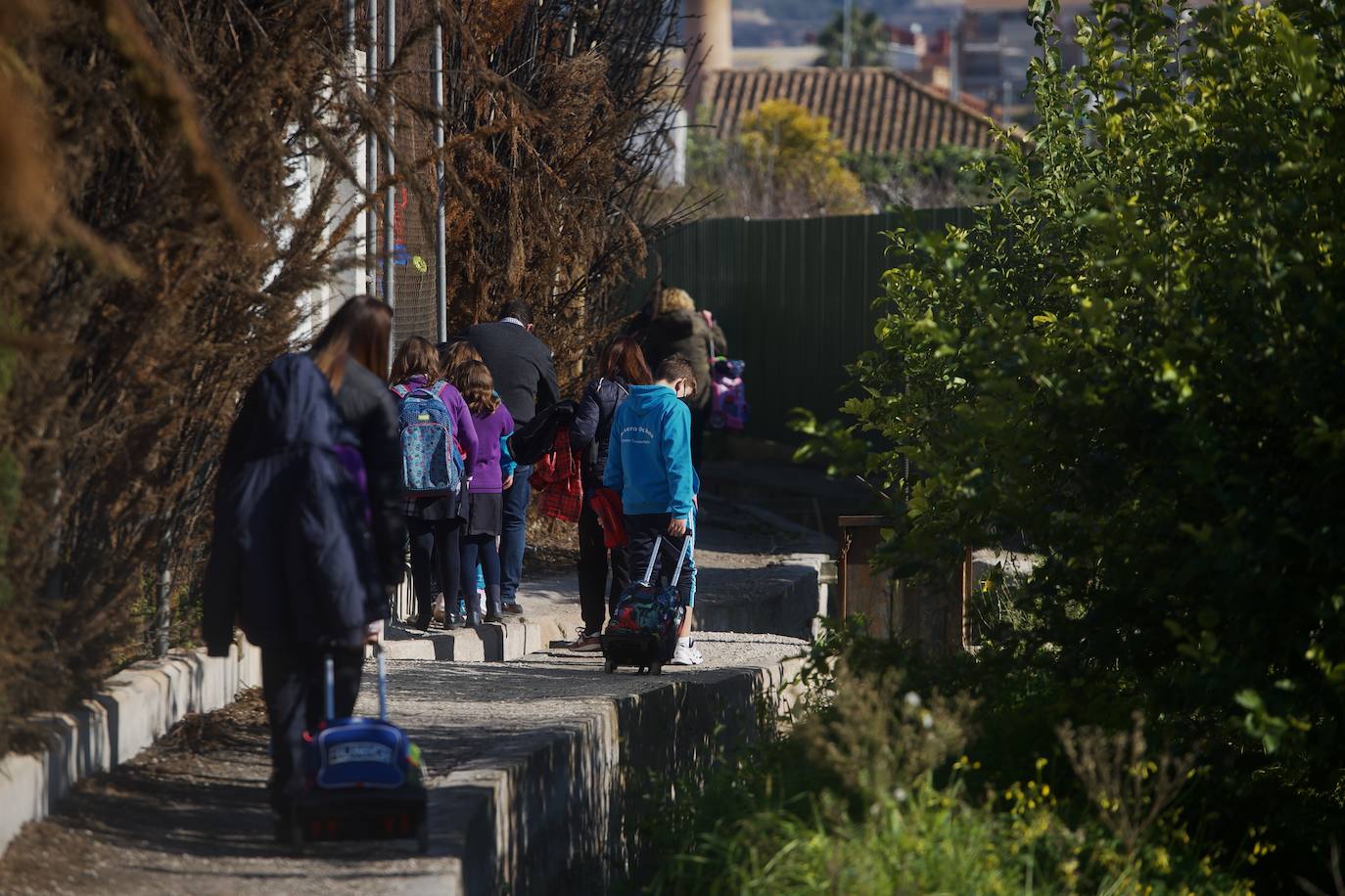 Fotos: El tortuoso camino de decenas de niños para ir cada día al cole en Los Garres