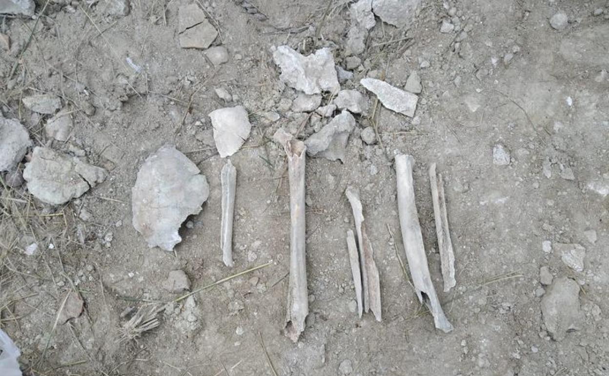 Los restos óseos encontrados en Campos del Río.