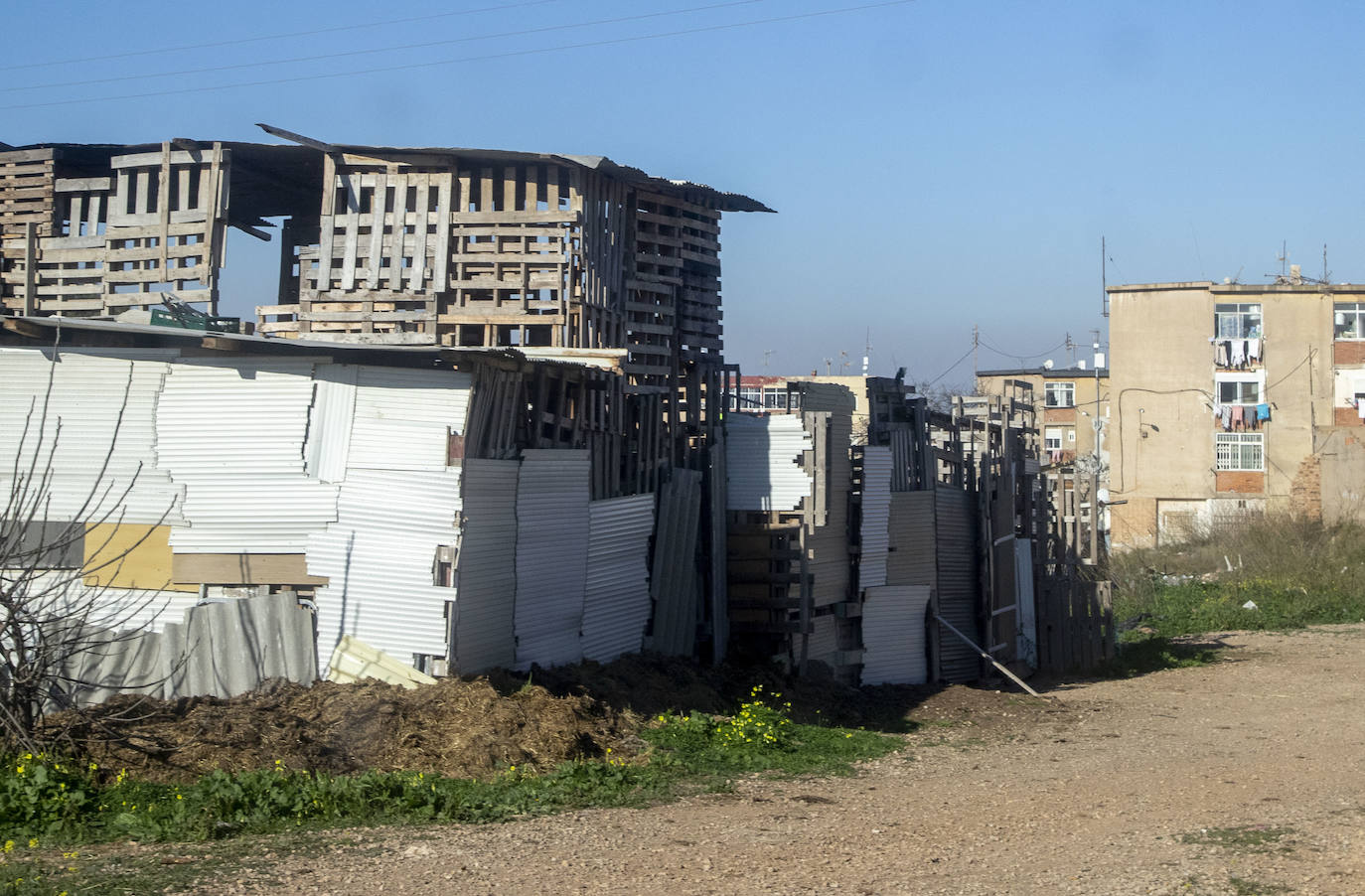 Fotos: Cuadras y corrales clandestinos se extienden junto a Lo Campano ante la pasividad municipal