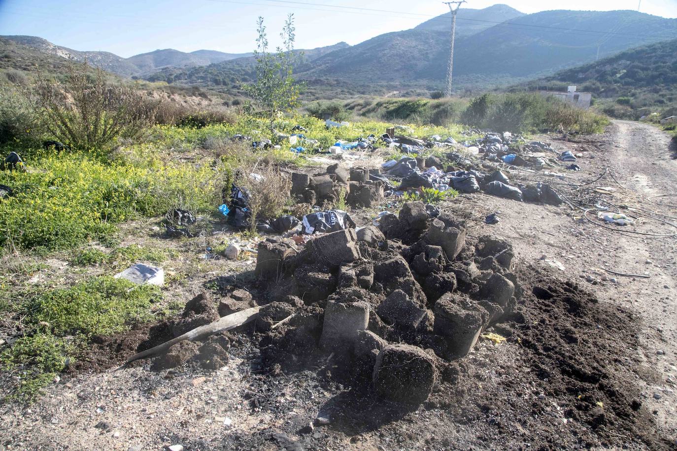 Fotos: Cuadras y corrales clandestinos se extienden junto a Lo Campano ante la pasividad municipal