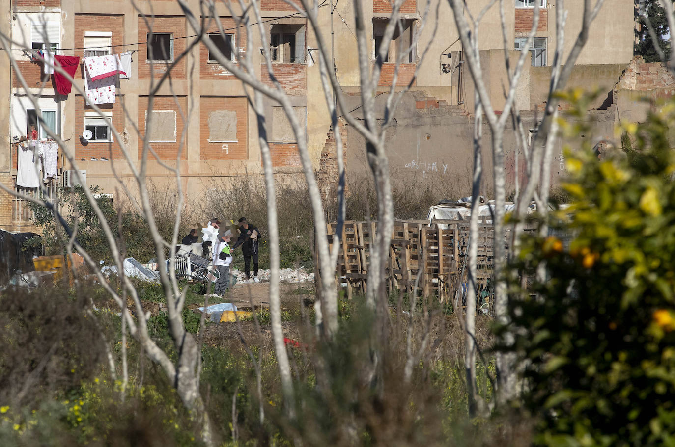 Fotos: Cuadras y corrales clandestinos se extienden junto a Lo Campano ante la pasividad municipal