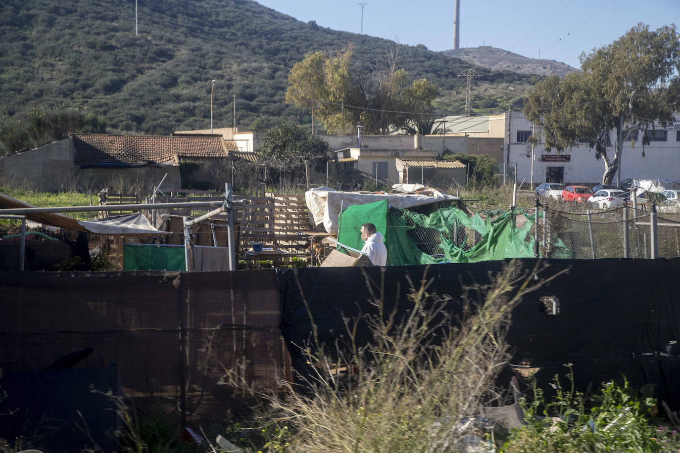 Fotos: Cuadras y corrales clandestinos se extienden junto a Lo Campano ante la pasividad municipal