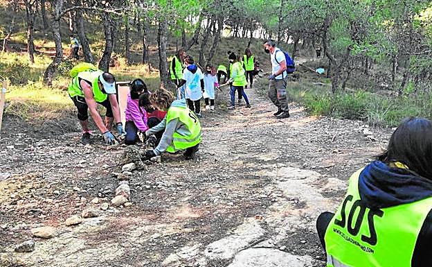 Actividad de reforestación del sendero de la Cresta del Gallo. 