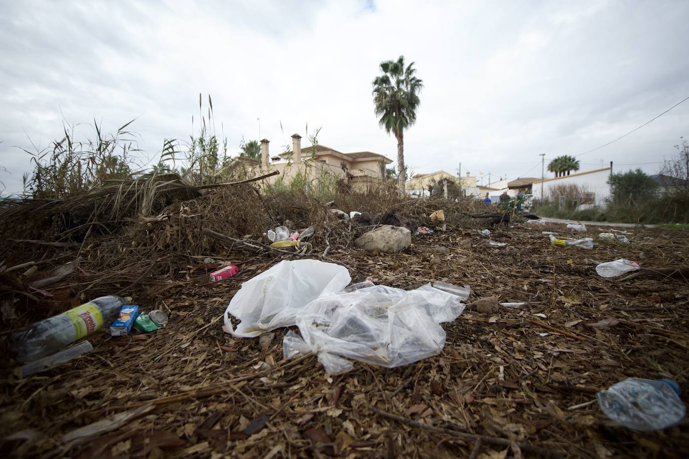 Fotos: Vecinos de La Albatalía denuncian «botellones y amenazas» en la huerta