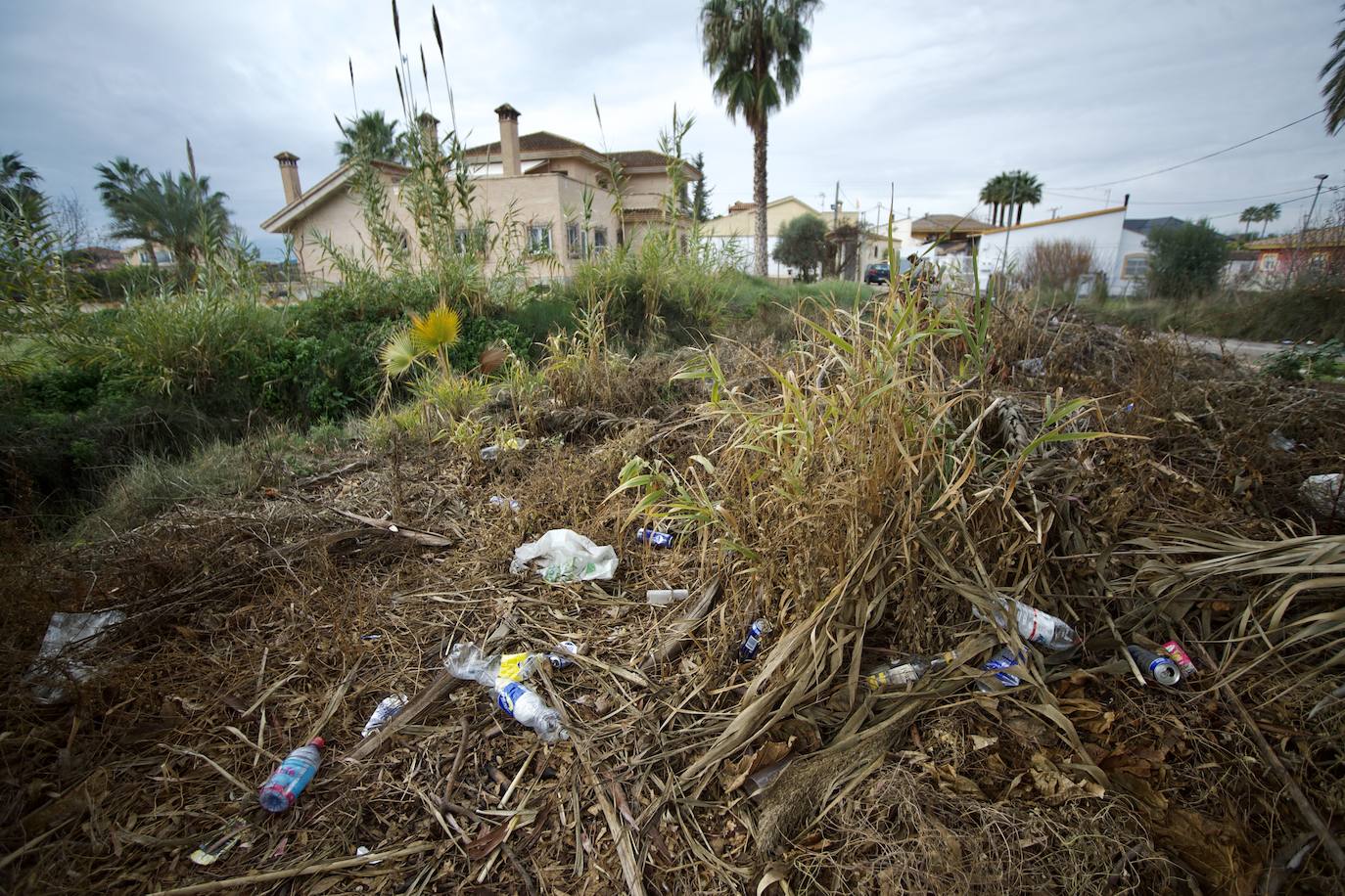 Fotos: Vecinos de La Albatalía denuncian «botellones y amenazas» en la huerta
