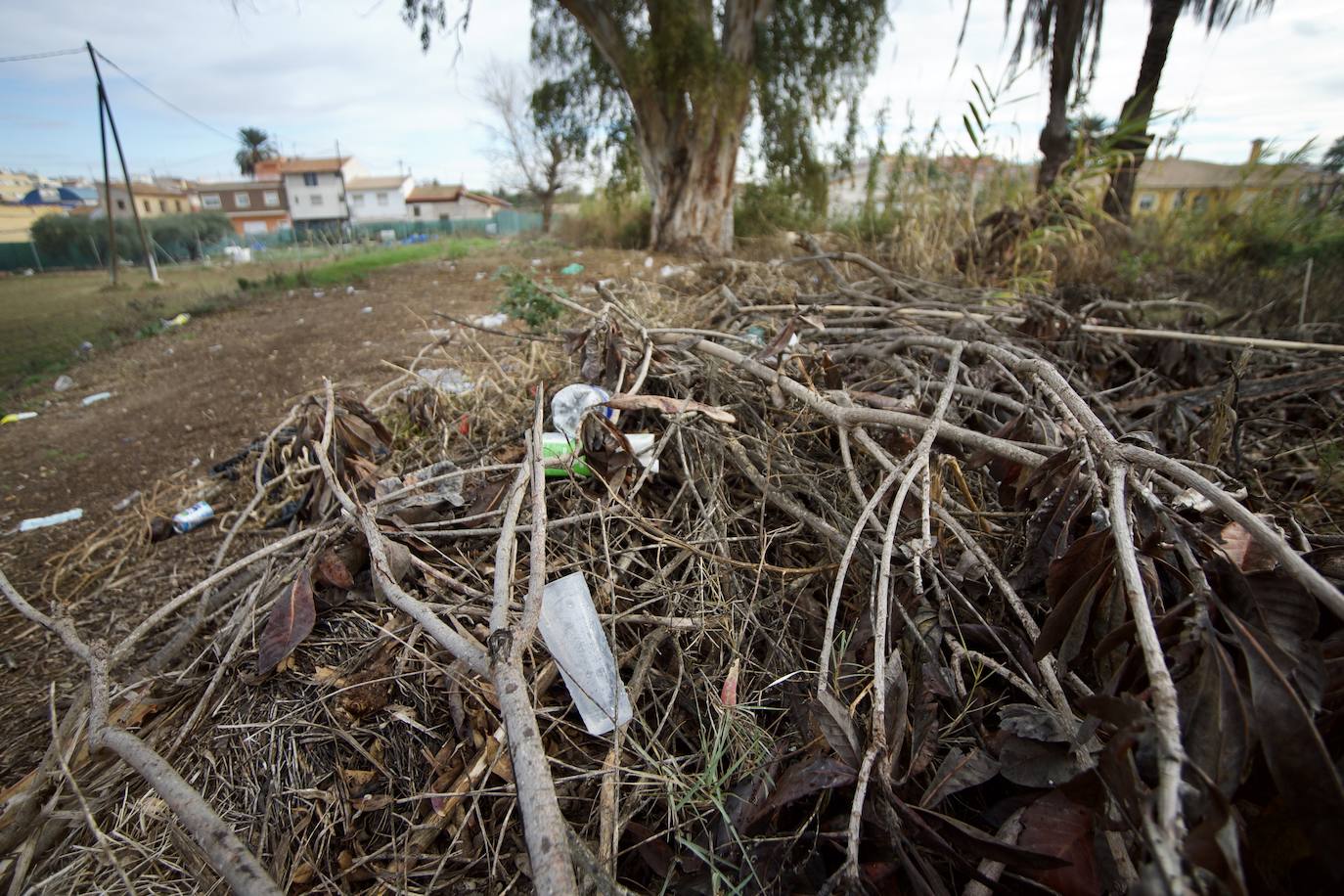 Fotos: Vecinos de La Albatalía denuncian «botellones y amenazas» en la huerta