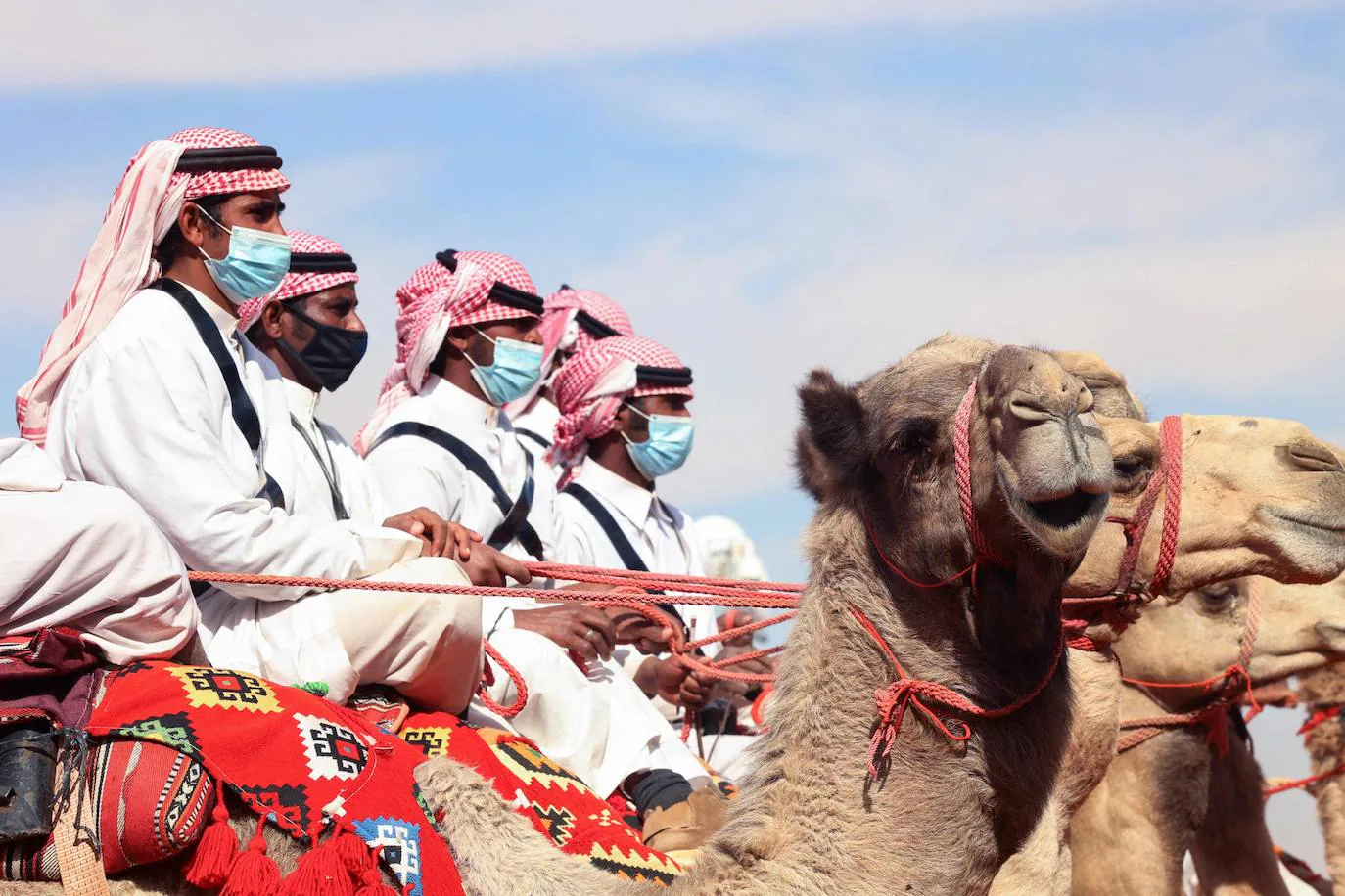 Fotos: Los camellos bellos | La Verdad