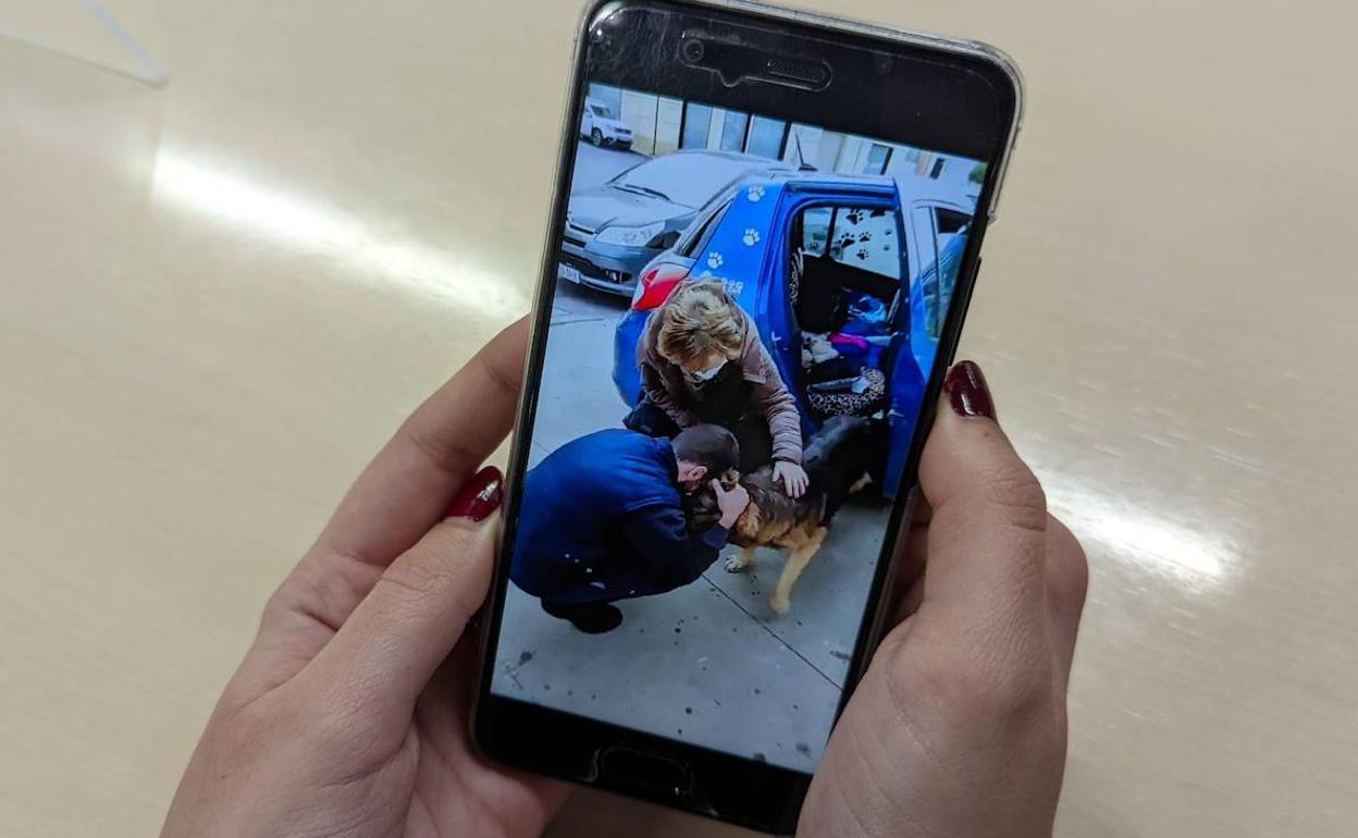 Una internauta viendo el vídeo del reencuentro del perro con su familia.