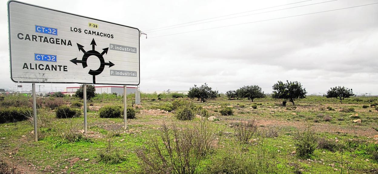 Terrenos en la zona norte del polígono industrial Los Camachos que serán adquiridos por la Autoridad Portuaria para desarrollar la zona de actividades logísticas. 