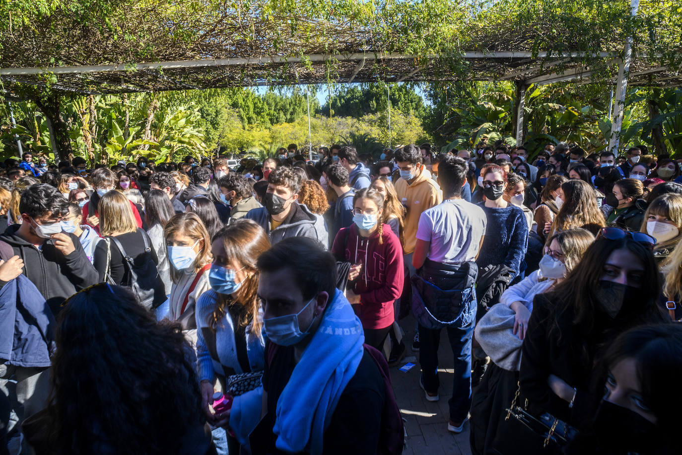Fotos: Convocatoria de exámenes del MIR en la Región de Murcia