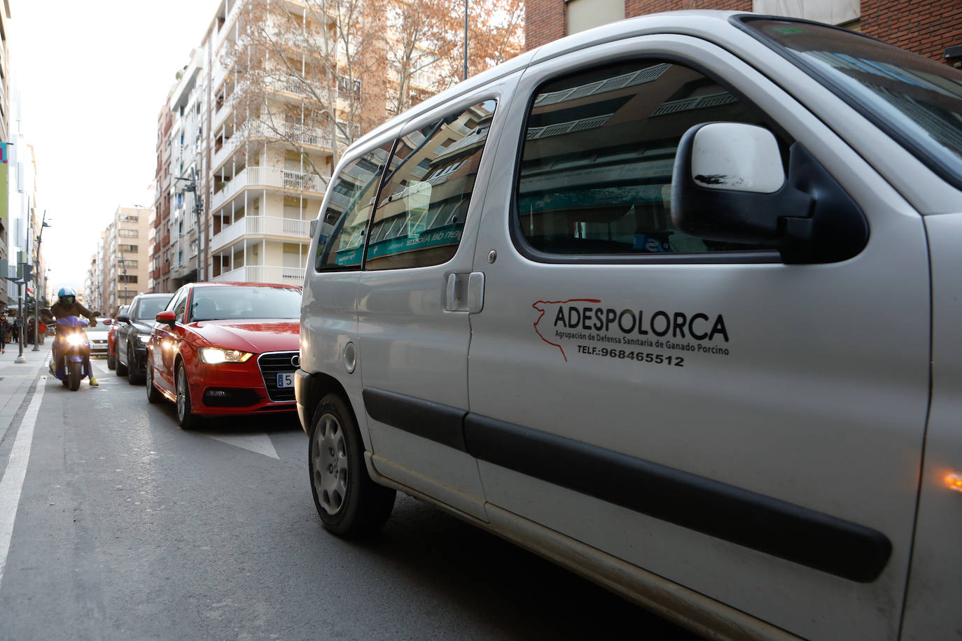 Fotos: Los ganaderos invaden el Centro de Desarrollo Local de Lorca durante una manifestación del sector