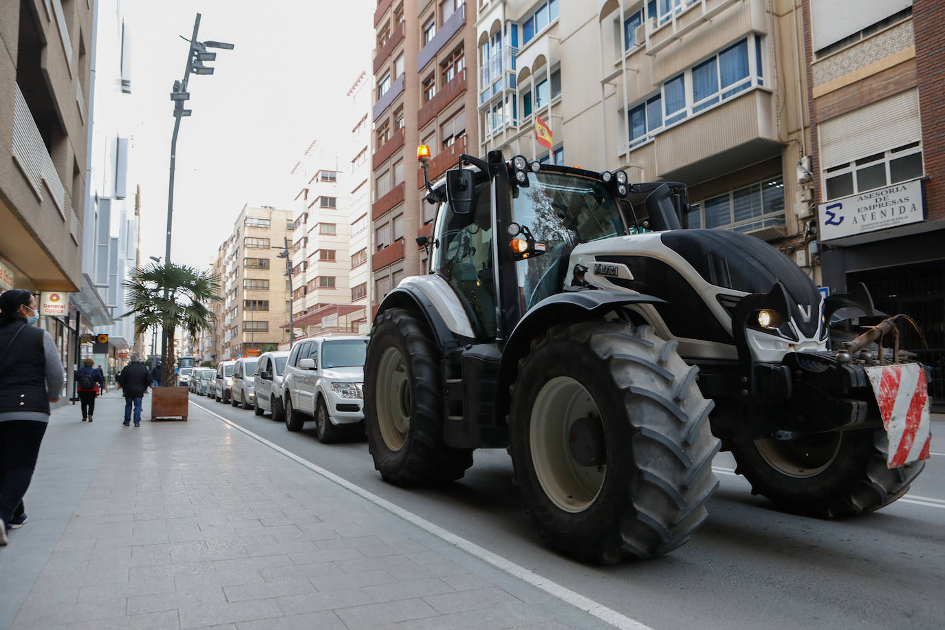 Fotos: Los ganaderos invaden el Centro de Desarrollo Local de Lorca durante una manifestación del sector