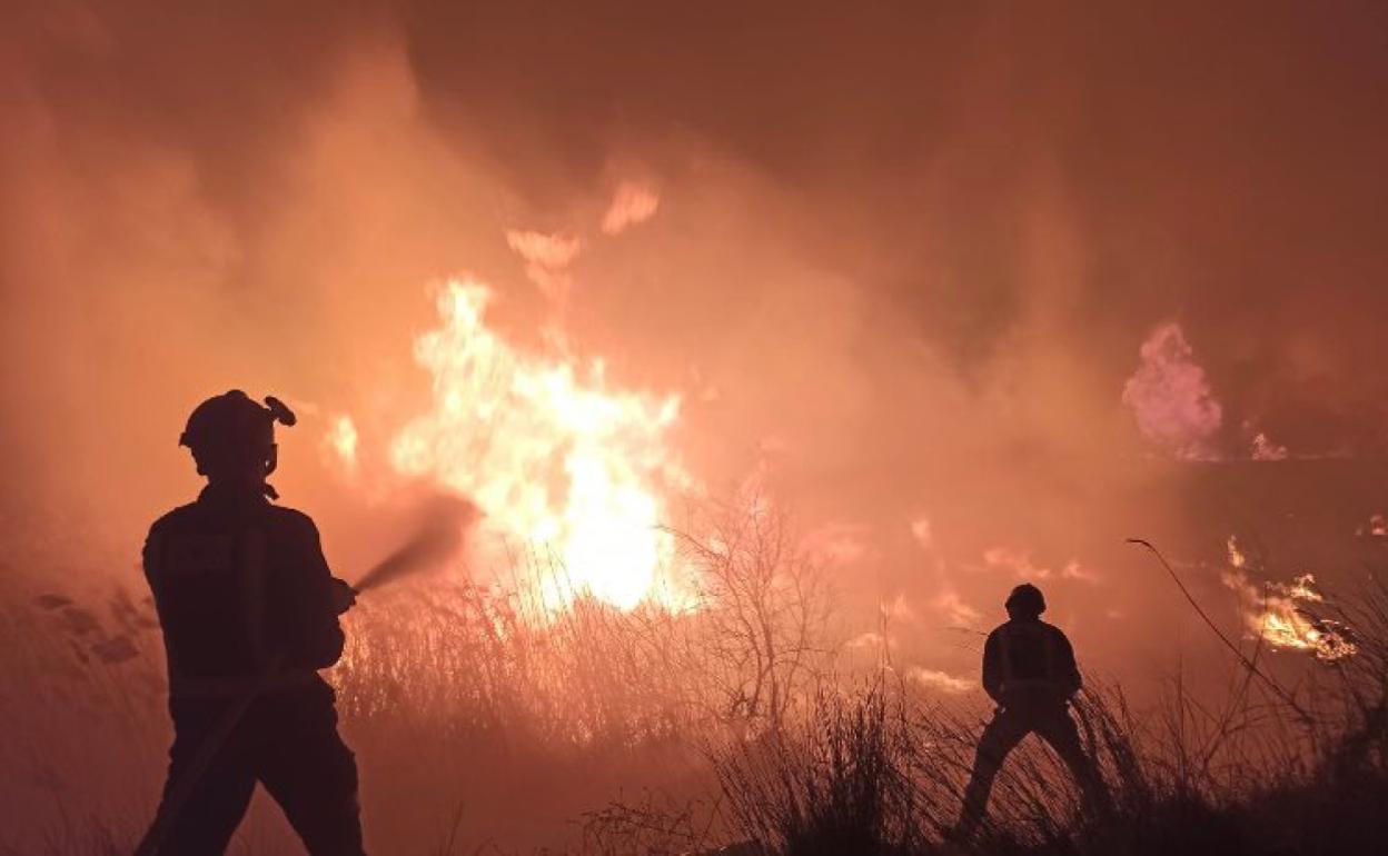 Fuego de cañas juntos al río, en Ceutí. 