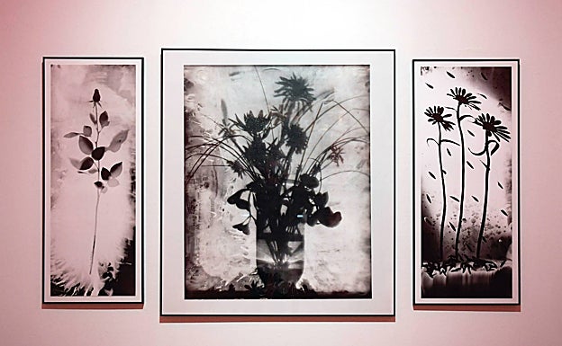 Imagen principal - Tomy Ceballos | Fotógrafo: «En unos siglos dirán de nosotros: &#039;Estos no se enteraban de nada&#039;»