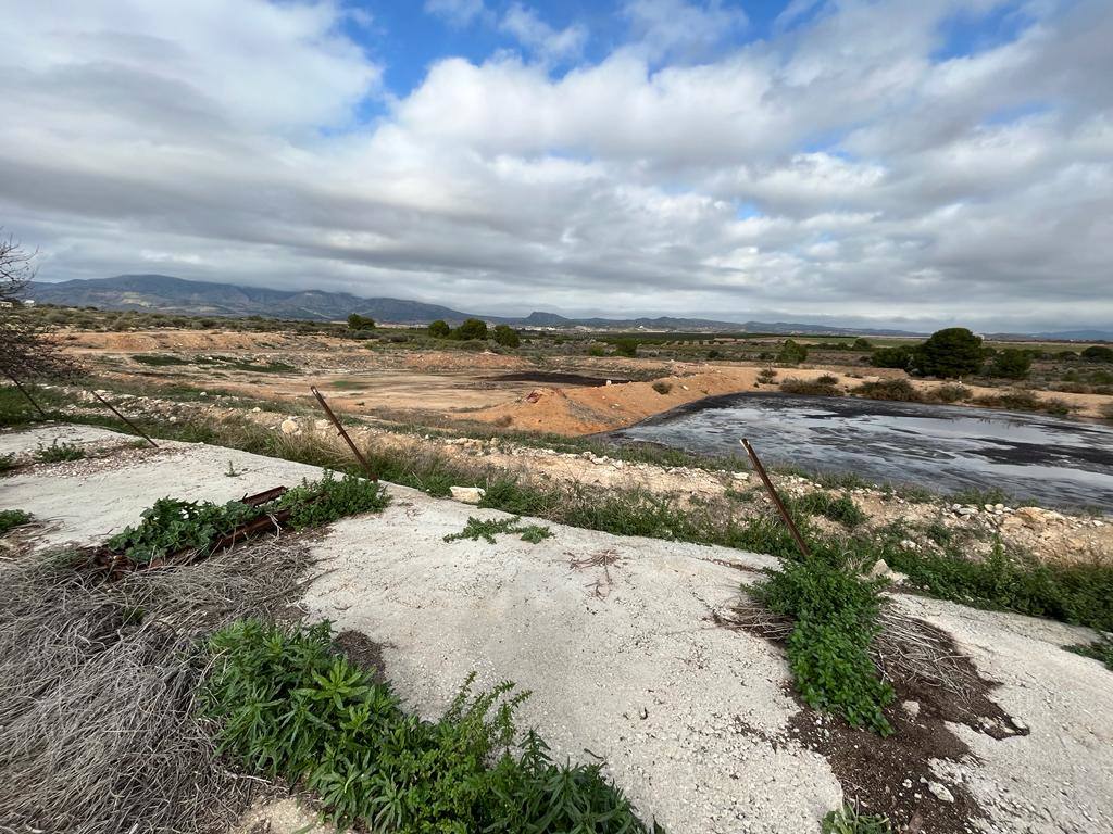 Fotos: Vertidos de purines junto al Mar Menor