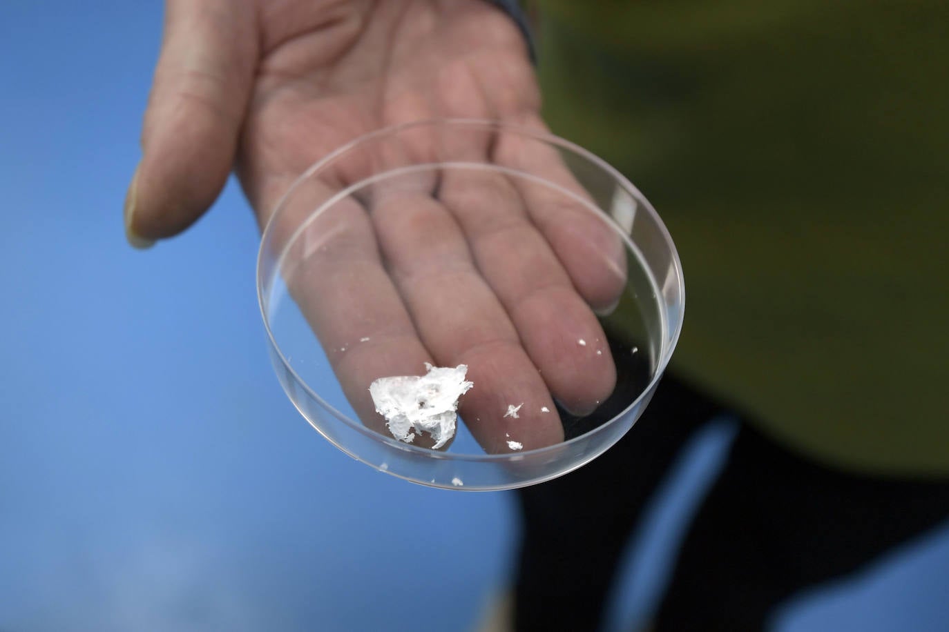 Fotos: La Región desarrolla un sistema para producir a gran escala bioplástico a partir de bacterias