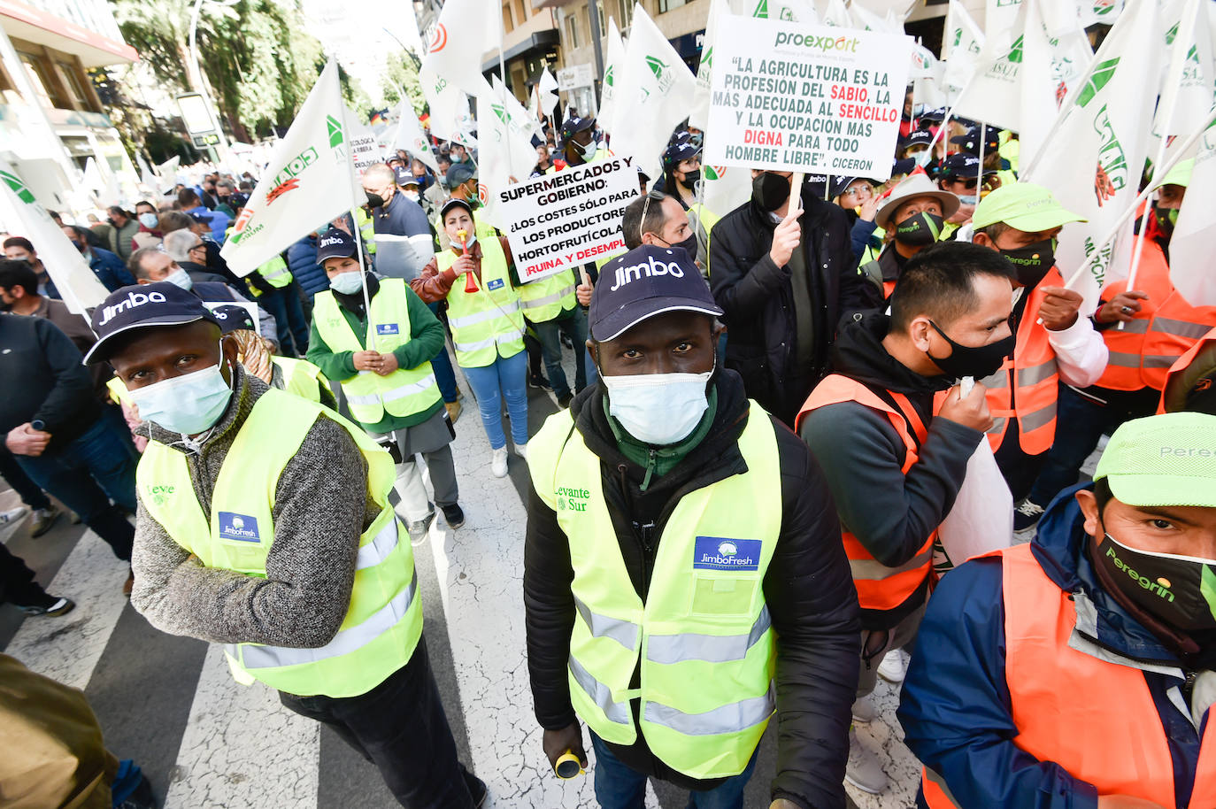 Fotos: Los agricultores salen a la calle en Murcia por la mejora del sector