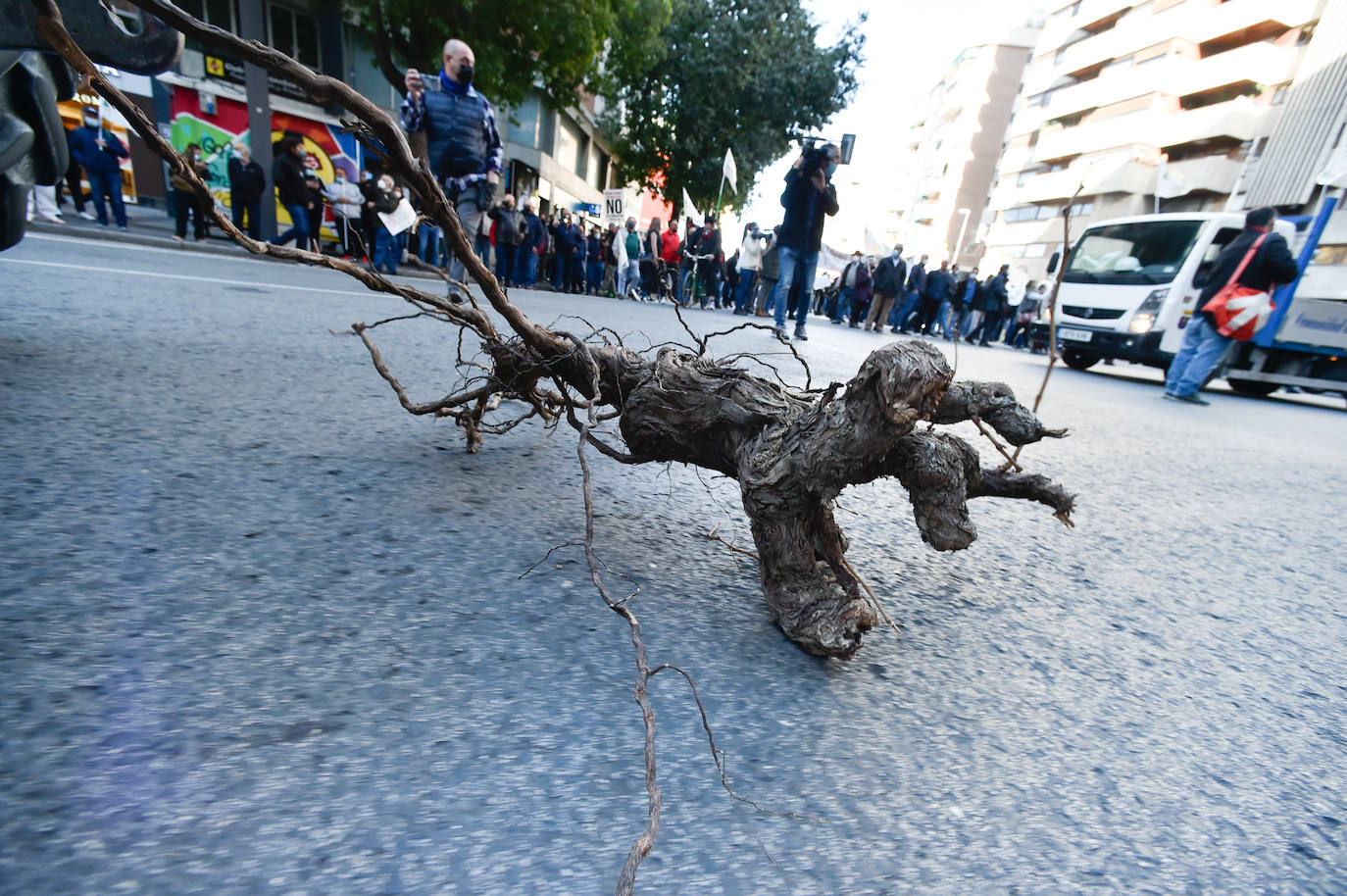 Fotos: Más de 500 tractores y camiones toman este miércoles Murcia en la manifestación del campo
