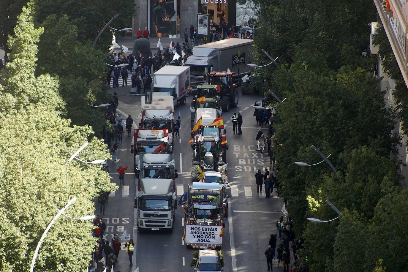 Fotos: Más de 500 tractores y camiones toman este miércoles Murcia en la manifestación del campo