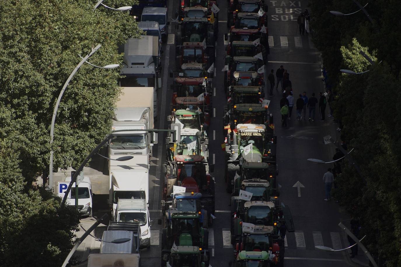 Fotos: Más de 500 tractores y camiones toman este miércoles Murcia en la manifestación del campo