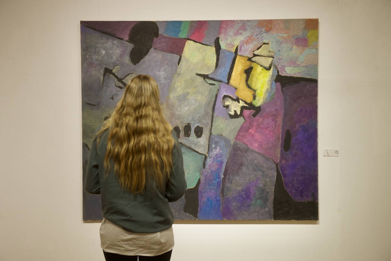 Fotos: Exposición de Vicente Ruiz en el Almudí de Murcia