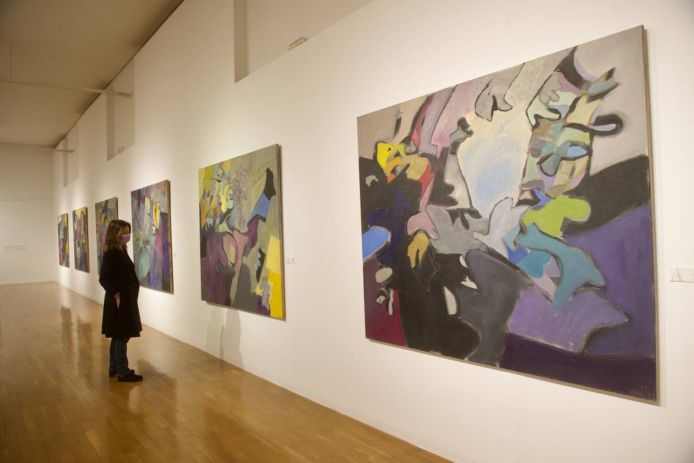 Fotos: Exposición de Vicente Ruiz en el Almudí de Murcia