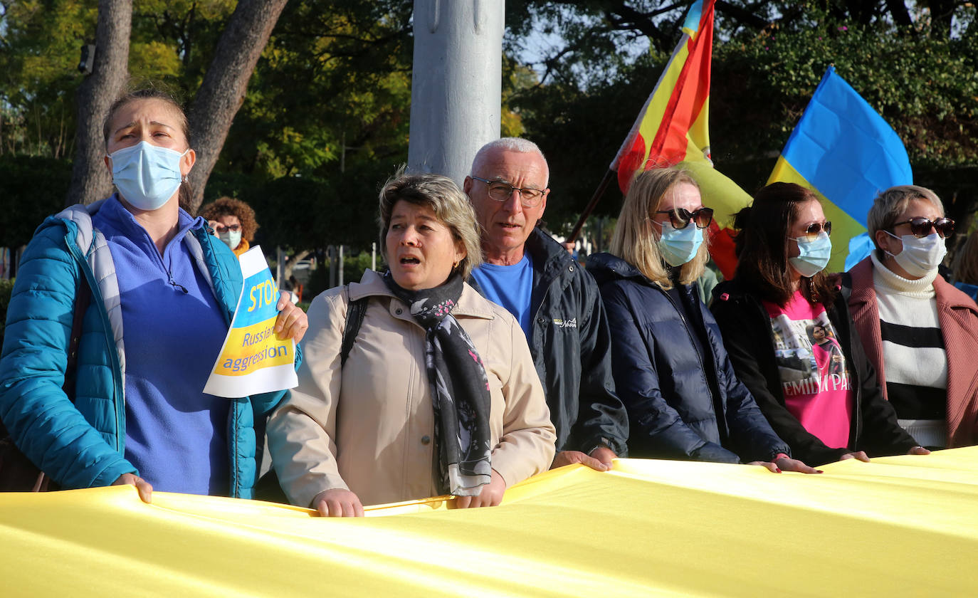 Fotos: Decenas de ucranianos claman en Murcia contra la invasión de su país