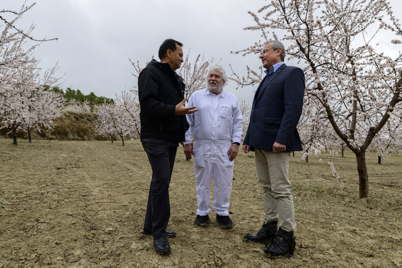 Fotos: Gabarrón une arte y naturaleza
