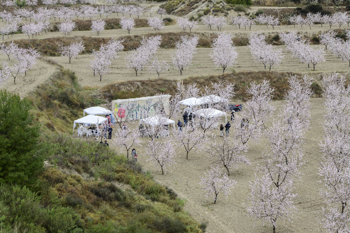 Fotos: Gabarrón une arte y naturaleza