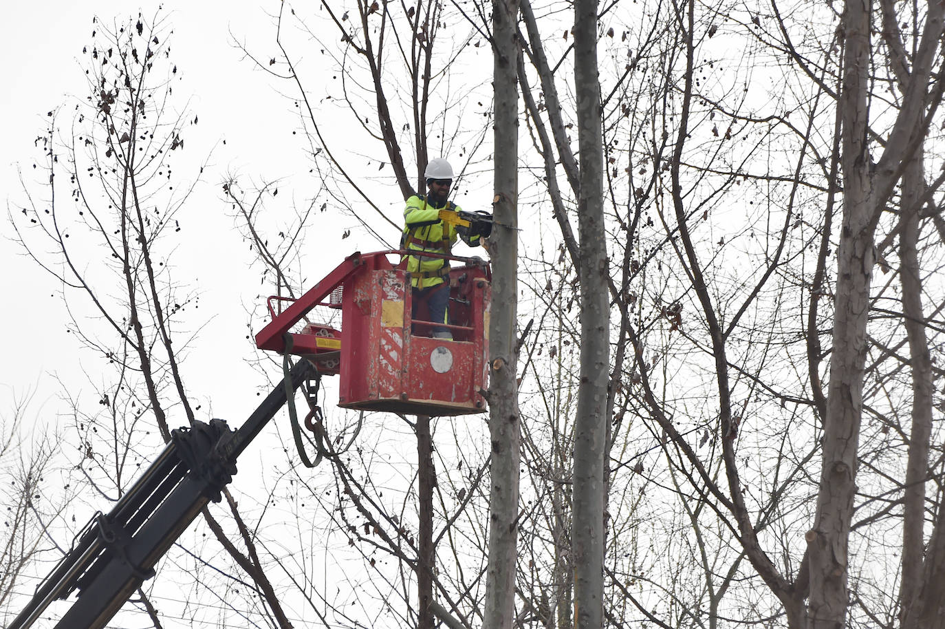 Fotos: Obras en la acequia de Benetúcer
